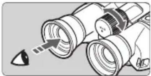 CANON 10x32 IS - Adjust the width of the binoculars. - 3