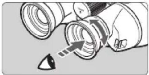 CANON 10x32 IS - Adjust the diopter. - 1