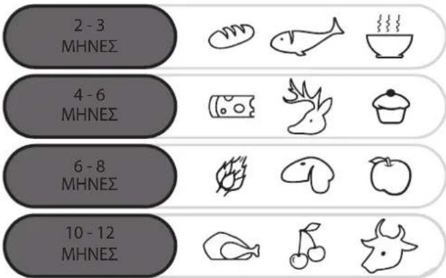 2 - 3 MHNEΣ 4 - 6 MHNEΣ 6 - 8 MHNEΣ 10 - 12 MHNEΣ