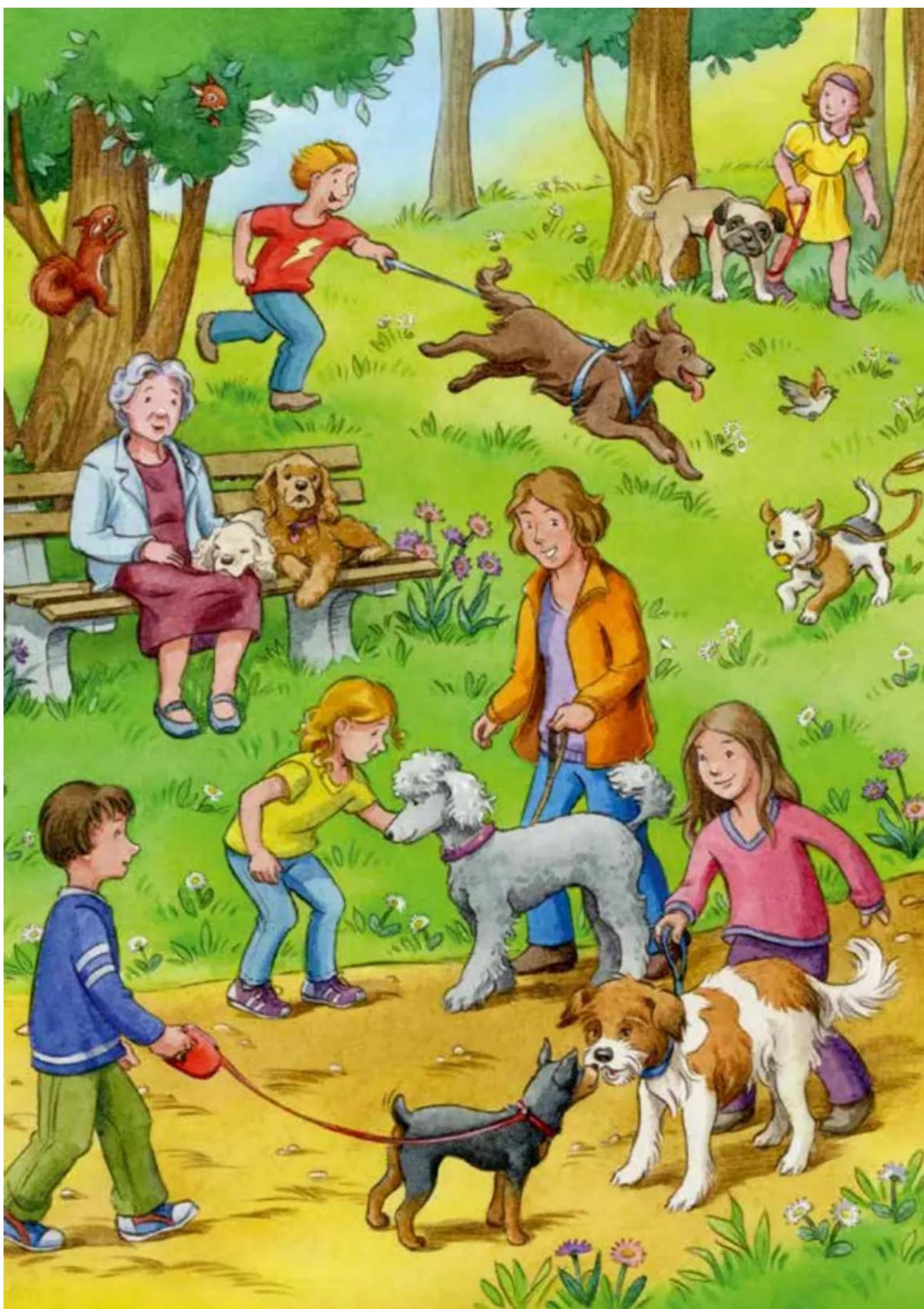 HABA Spiel-Spaß-Kiste Haustiere - Si comincia - 4