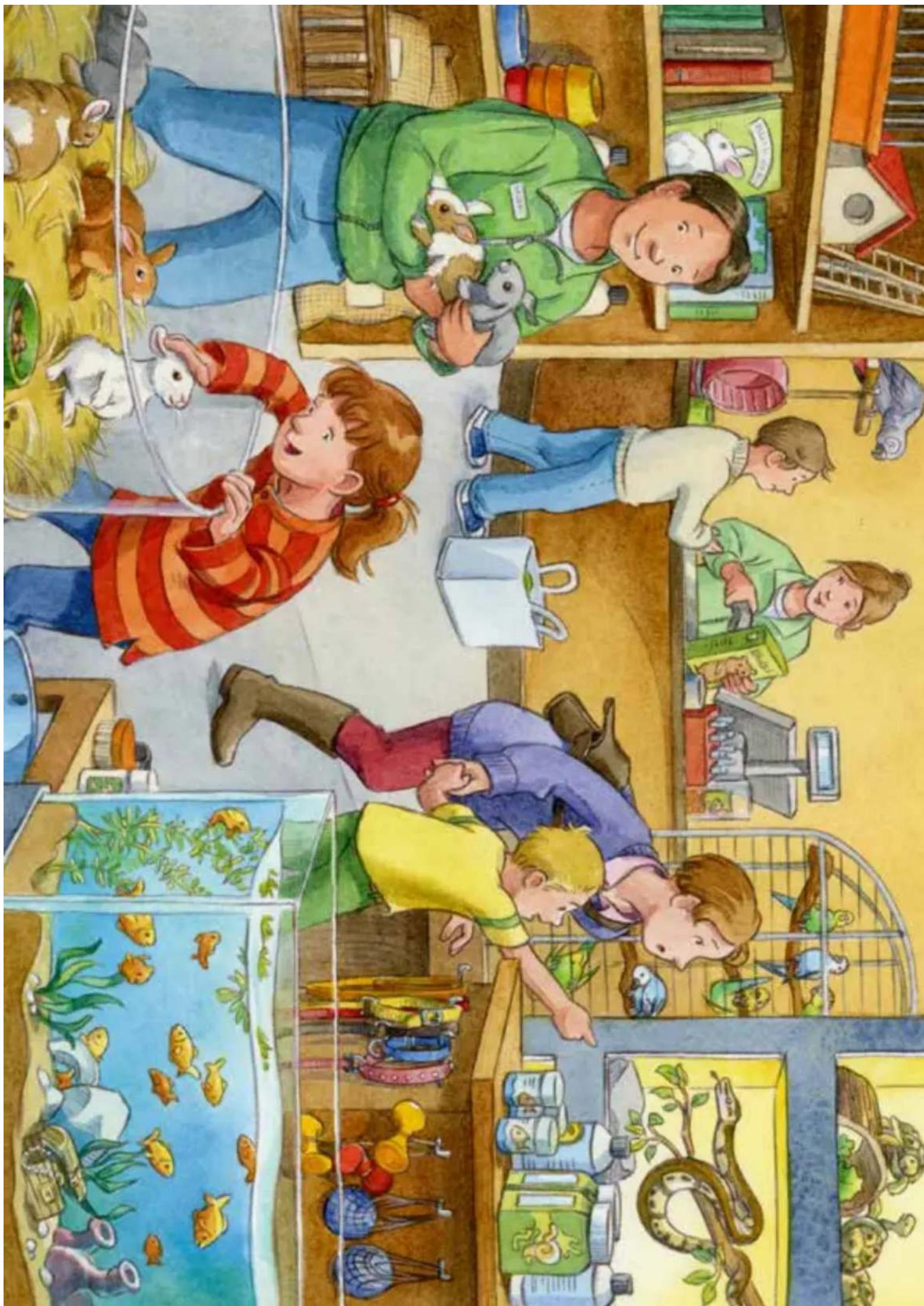 HABA Spiel-Spaß-Kiste Haustiere - Si comincia - 5