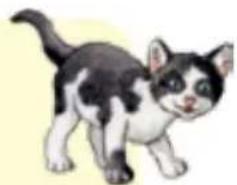 HABA Spiel-Spaß-Kiste Haustiere - Histoire n°3 : Histoire « Observe bien » à rejouer : Le chat Tigrou part à la découverte du monde - 1