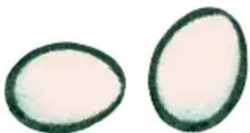 HABA Eiertanz - 1
