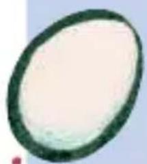 HABA Eiertanz - ¡Anda! ¿qué hace un huevo de madera en este juego? - 1