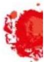 HABA Mein erster Spieleschatz - Deck of 32 playing cards - 3