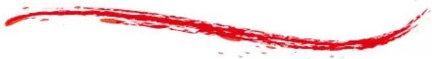 Abstract red brushstroke on white background (no text or symbols)