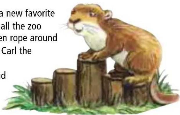 HABA Fädelzoo - Farbwürfelspiel - 1