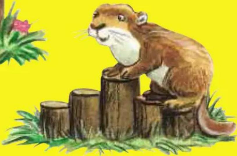 HABA Fädelzoo - 1