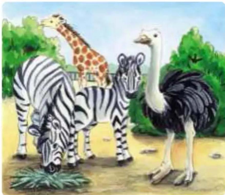 HABA Fädelzoo - Threading following a picture model - 1