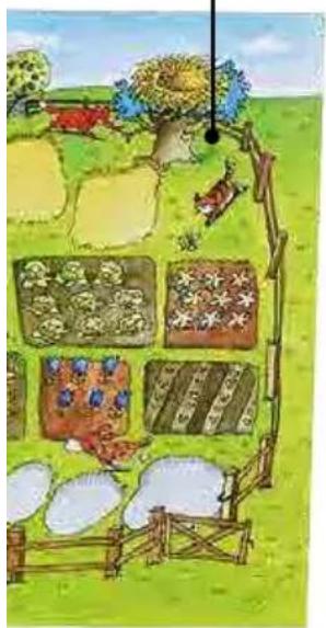 HABA Meine große Obstgarten Spielesammlung - Spieleübersicht - 11