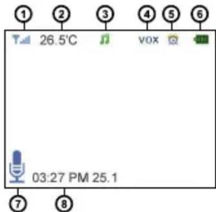 TrueLife NannyCam H32 - Monitoring Screen Icons - 1
