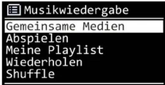 Musikwiedergabe Gemeinsame Medien Abspielen Meine Playlist Wiederholen Shuffle