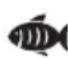 DOMO DO530FR - PROGRAMMI PREDEFINITI - 8
