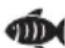 DOMO DO530FR - Programmes automatiques - 8