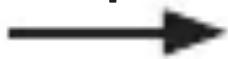 SBS TENOSBB5000G - mAh - 4