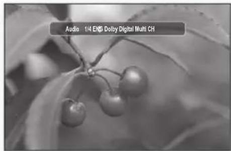 SAMSUNG BD-P1595A - Taste AUDIO verwenden - 1