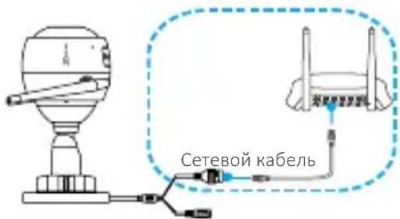 Сетевой кабель