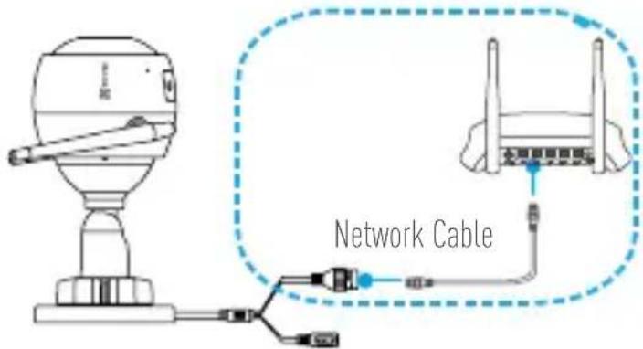 Network Cable