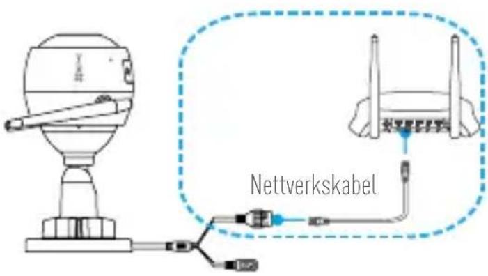 Nettverkskabel