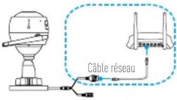 Câble réseau