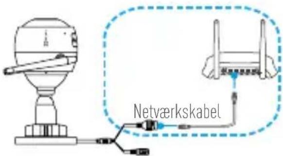 Netværkskabel