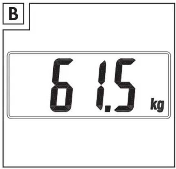 B 6 1.5 kg