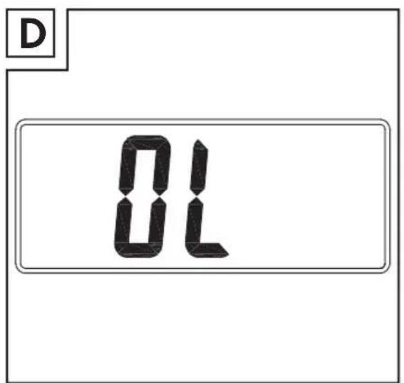 D 8L
