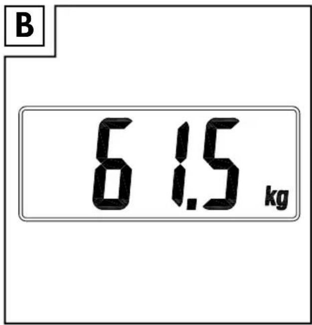 B 6 1.5 kg