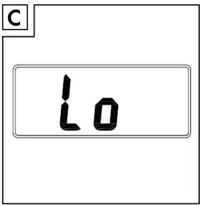 C 10