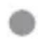SILVERCREST IAN 290040 - - Manejo - 2