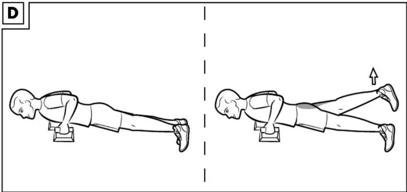 CRIVIT IAN 291086 - ASAS PARA HACER FLEXIONES - 3