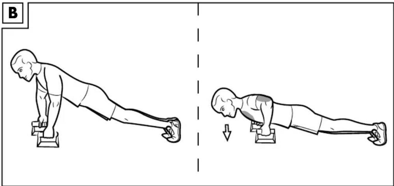 CRIVIT IAN 291086 - ASAS PARA HACER FLEXIONES - 1