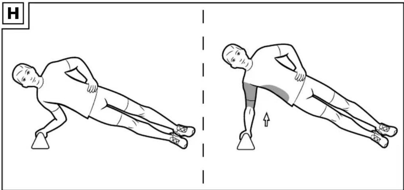 CRIVIT IAN 291086 - ASAS PARA HACER FLEXIONES - 7