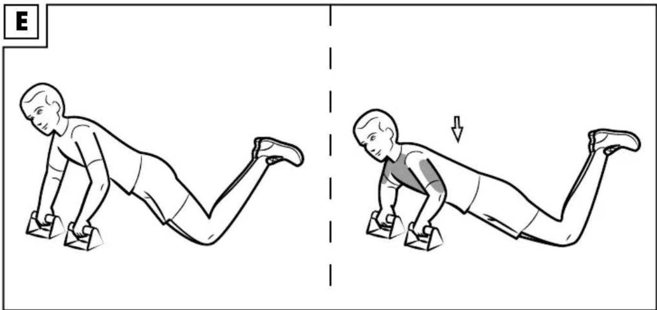 CRIVIT IAN 291086 - ASAS PARA HACER FLEXIONES - 4