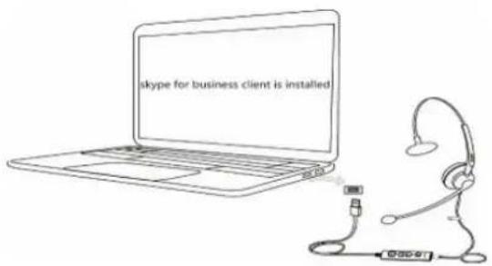 skype for business client is installed