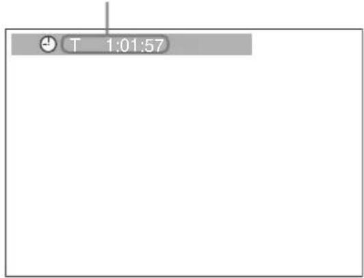 SONY DVX-11A - Durante la riproduzione, premere DISPLAY. - 1