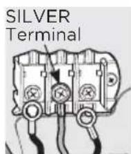 SILVER Terminal
