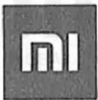 Xiaomi MiJia 4K Action Camera - MiJia Action Camera User's Manual - 1