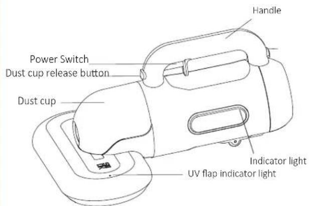 Handle Power Switch Dust cup release button Dust cup Indicator light UV flap indicator light