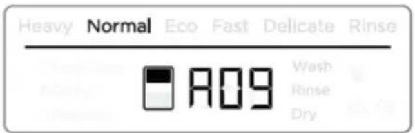Fisher & Paykel DD24SAX9N - If sanitization has not been successful: - 1