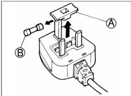 BAUKNECHT WA 2550 - B - FUSE REPLACEMENT - 1
