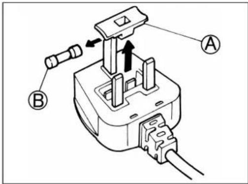 BAUKNECHT GCI 4755/2 W-SW - 3) FUSE REPLACEMENT - 1