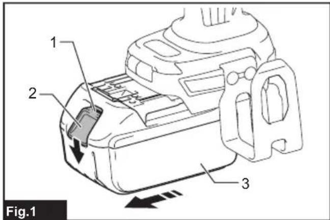 1 2 3 Fig.1
