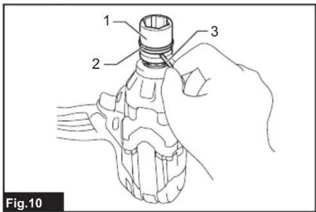 1 2 3 Fig.10
