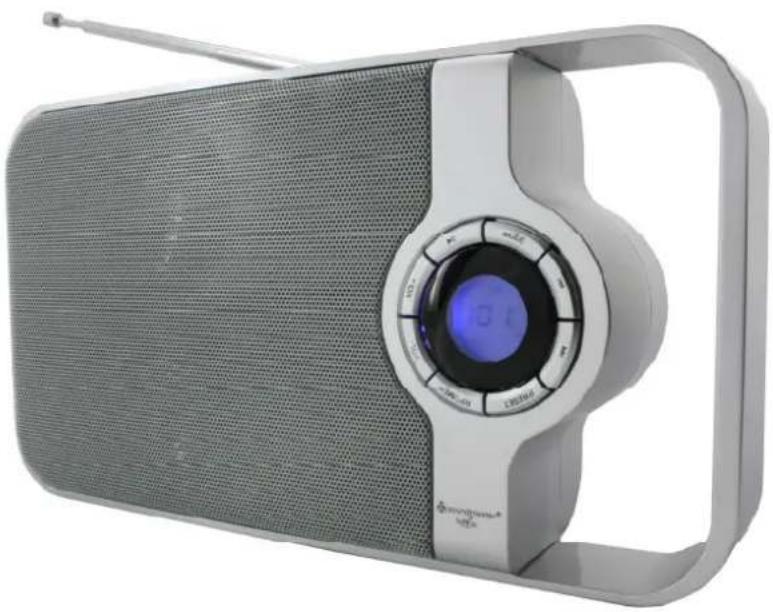 Soundmaster TR100 - 2