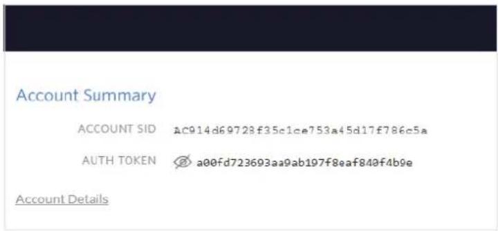 Account Summary ACCOUNT SID ac914d69728f35c1ce753a45d17f786c5a AUTH TOKEN a00fd723693aa9ab197f8eaf840f4b9e Account Details