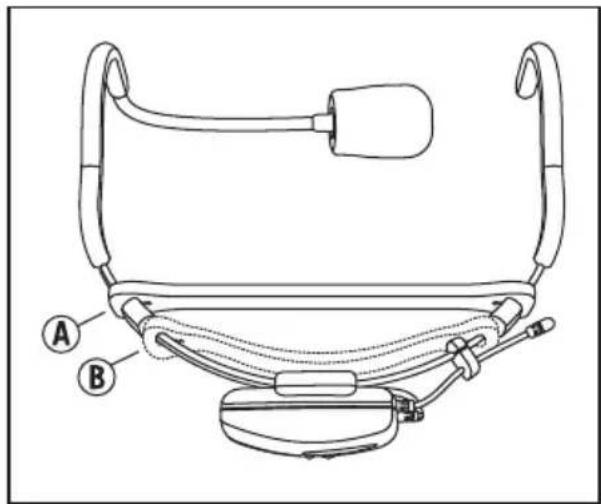 Technical diagram of a medical device with labeled parts A and B, showing anatomical structure and connectors.