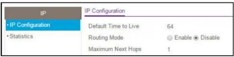 IP • IP Configuration • Statistics IP Configuration Default Time to Live 64 Routing Mode ○ Enable ● Disable Maximum Next Hops 1