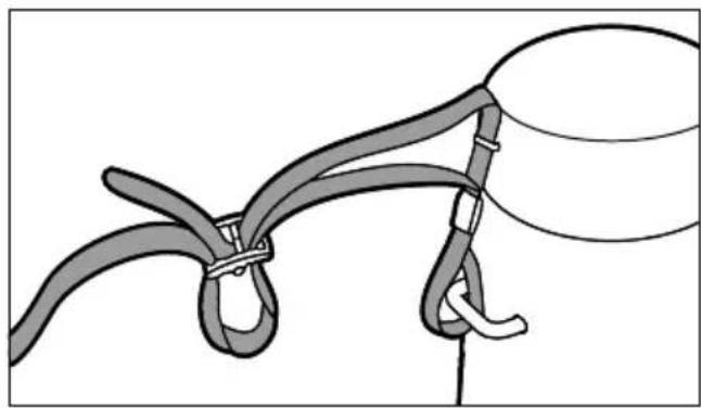 LEICA Noctivid 8x42 - AREAS OF USE - 1
