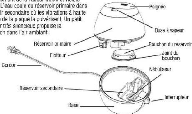 L'eau coule du réservoir primaire dans air secondaire où les vibrations à haute de la plaque la pulvérisent. Un petit r très silencieux propulse la ion dans l'air ambiant. Poignée Buse à vapeur Réservoir primaire Flotteur Joint du bouchon Nébulliseur Réservoir secondaire Base Interrupteur